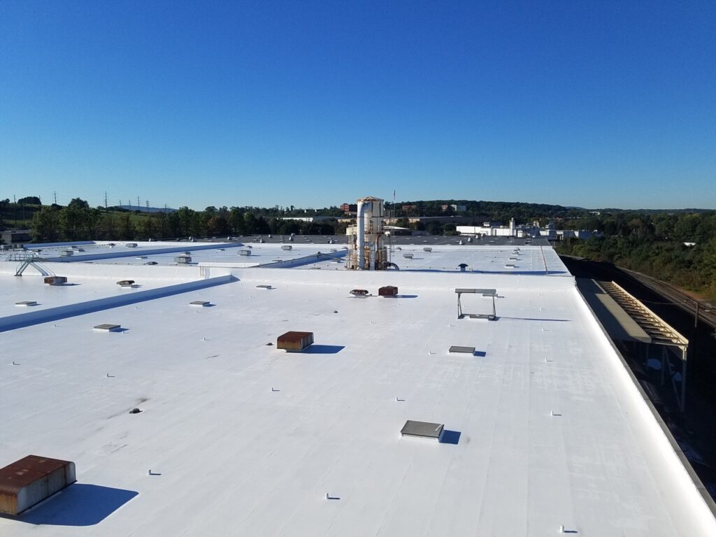 white coated roof